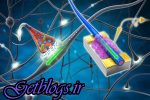 ورزش شدید احتمال مبتلا شدن به ALS را زیاد کردن میدهد